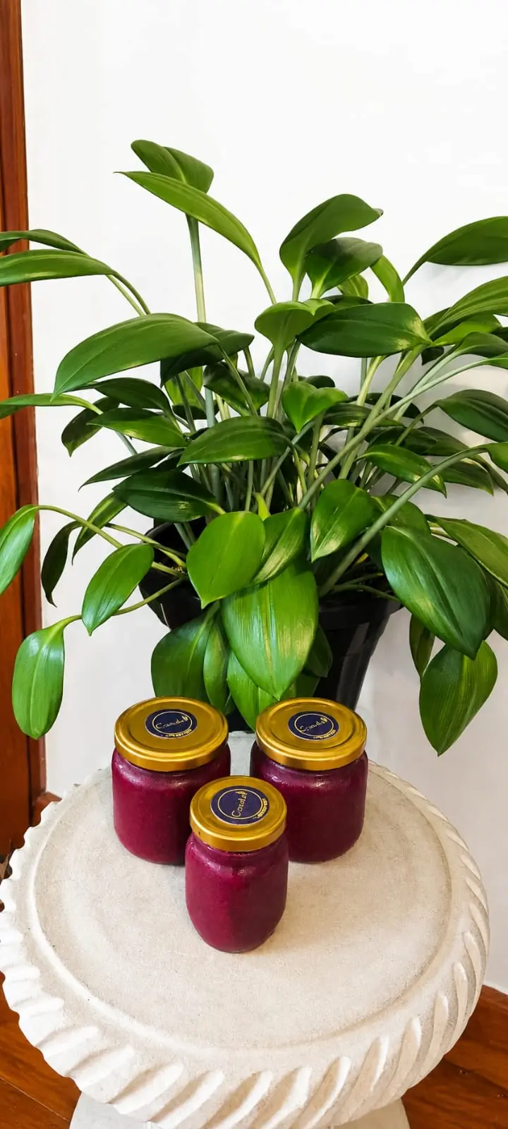 Mermeladas artesanales en frascos con etiqueta dorada Casabe, sobre mesa de mármol con planta detrás
